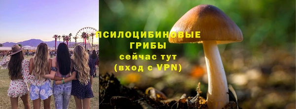 стаф Михайлов