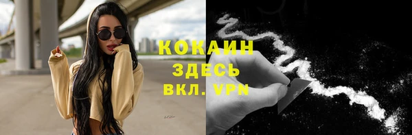 стаф Михайлов