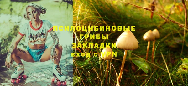 соль ск Алексеевка