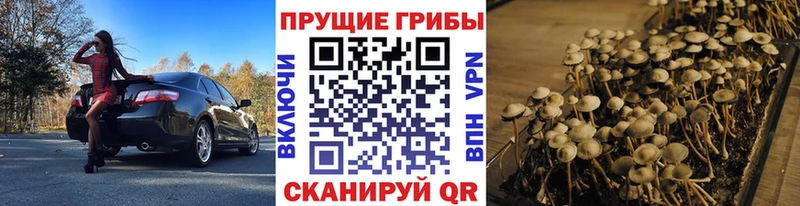 Галлюциногенные грибы Cubensis  Иркутск 